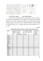 Referāts 'Radošās darbības pieredzes bagātināšana vizuālās mākslas nodarbībās sākumskolā', 26.