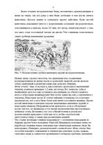 Referāts 'Эволюция человека', 10.