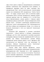 Referāts 'Эволюция человека', 13.
