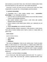 Konspekts 'Filosofiskā antropoloģija', 3.