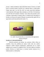 Biznesa plāns 'Biznesa plāna izstrādāšanas gaita SIA "X"', 10.