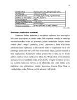 Biznesa plāns 'Biznesa plāna izstrādāšanas gaita SIA "X"', 12.