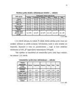 Biznesa plāns 'Biznesa plāna izstrādāšanas gaita SIA "X"', 13.