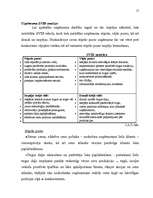 Biznesa plāns 'Biznesa plāna izstrādāšanas gaita SIA "X"', 17.