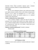 Biznesa plāns 'Biznesa plāna izstrādāšanas gaita SIA "X"', 23.