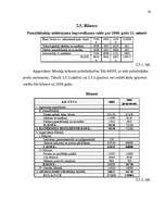 Biznesa plāns 'Biznesa plāna izstrādāšanas gaita SIA "X"', 28.