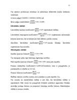 Biznesa plāns 'Biznesa plāna izstrādāšanas gaita SIA "X"', 31.