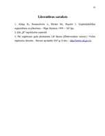 Biznesa plāns 'Biznesa plāna izstrādāšanas gaita SIA "X"', 32.