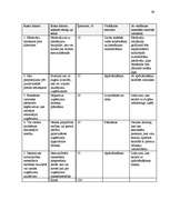 Biznesa plāns 'Biznesa plāna izstrādāšanas gaita SIA "X"', 39.