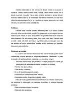 Referāts 'Rēzekne - veselīga pilsēta', 8.