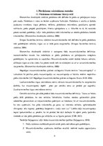 Referāts 'Veikala "Sky" analīze', 4.