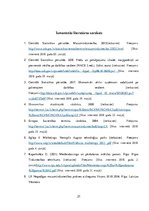 Referāts 'Veikala "Sky" analīze', 21.