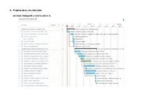 Konspekts 'Projekts "Labdarības koncerta rīkošana"', 8.