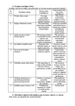 Konspekts 'Projekts "Labdarības koncerta rīkošana"', 11.