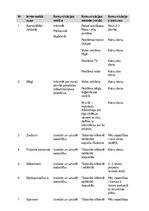 Konspekts 'Projekts "Labdarības koncerta rīkošana"', 13.