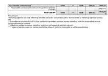 Konspekts 'Projekts "Labdarības koncerta rīkošana"', 24.