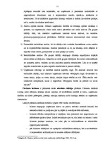 Diplomdarbs 'Sabiedrības ar ierobežotu atbildību saimnieciskās darbības finanšu analīze', 10.