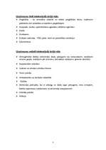 Konspekts 'Uzņēmuma X stratēģijas plāns', 6.