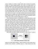 Referāts 'Šūnu automātu pielietošanas iespēju izpētīšana uzdevumā par ciparu attēlu kvalit', 6.