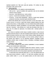 Referāts 'Šūnu automātu pielietošanas iespēju izpētīšana uzdevumā par ciparu attēlu kvalit', 7.