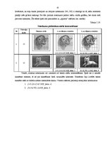 Referāts 'Šūnu automātu pielietošanas iespēju izpētīšana uzdevumā par ciparu attēlu kvalit', 45.
