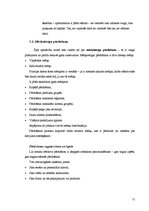 Referāts 'Pārdošanas nodaļas darbinieku apmācības programma un motivācija', 11.