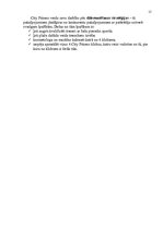 Referāts 'SIA "City Fitness" mārketinga vides un stratēģijas analīze un darbības plānošana', 15.