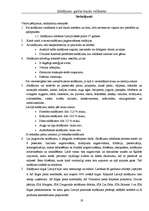 Referāts 'Saldējums - garšas baudu valdnieks', 19.