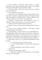 Konspekts 'Konspekts starptautiskajās cilvēktiesībās', 7.