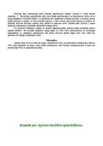 Referāts 'Aglonas bazilika', 7.