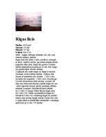 Konspekts 'Rīgas jūras līcis ', 1.