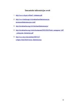 Referāts 'Policijas darbinieka diskriminējošas attieksmes iemesli un sekas', 12.