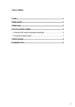 Referāts 'Inovatīvs produkts – skanošais sporta krekls', 2.