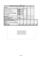 Konspekts 'Investīciju samazināšanas projekts', 34.