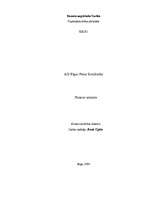 Prakses atskaite 'AS "Rīgas Piena kombināts" ', 1.