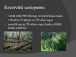 Prezentācija 'Moricsalas rezervāts', 8.