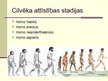 Prezentācija 'Cilvēka attīstības stadija "Homo erectus"', 3.