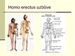 Prezentācija 'Cilvēka attīstības stadija "Homo erectus"', 5.