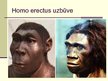 Prezentācija 'Cilvēka attīstības stadija "Homo erectus"', 6.