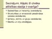 Prezentācija 'Cilvēka attīstības stadija "Homo erectus"', 7.