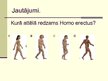 Prezentācija 'Cilvēka attīstības stadija "Homo erectus"', 8.