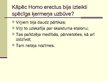 Prezentācija 'Cilvēka attīstības stadija "Homo erectus"', 9.