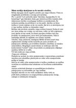 Eseja 'Morālās situācijas analīze', 5.