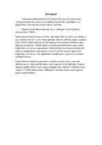 Paraugs 'Laboratorijas darbi būvmateriālos', 7.