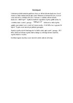 Paraugs 'Laboratorijas darbi būvmateriālos', 10.