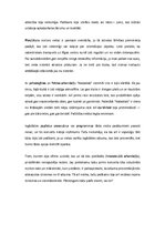 Konspekts 'Kultūras pasākuma analīze', 3.