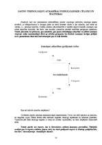 Referāts 'Datoratkarība kā viens no atkarību veidiem 14-16 gadus veciem pusaudžiem', 19.