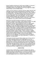 Referāts 'Reformācijas un kontrreformācijas kultūra Latvijā', 5.