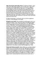 Referāts 'Reformācijas un kontrreformācijas kultūra Latvijā', 6.