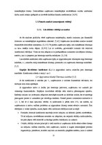 Diplomdarbs 'SIA "X" finanšu analīze un attīstības perspektīvas', 12.